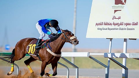 13 بطلًا في منافسات ميدان الملك سعود للفروسية بالقصيم