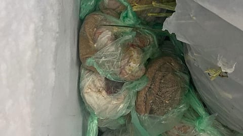 ضبط 95 كجم من اللحوم الفاسدة بمطعم جنوب الطائف