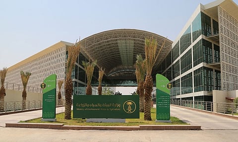 إطلاق خدمة استيراد بذور التجارب للشركات والمؤسسات الزراعية