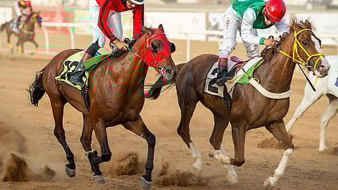 أمير مكة يزيّن الحفل الختامي لسباقات الخيل بجدة