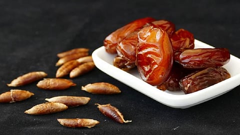نواة التمر.. غذاء مفيد و«دواء سحري» في رمضان