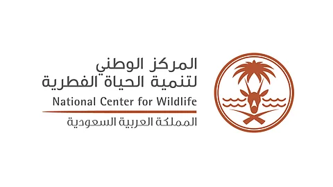 بعد واقعة الأسد.. «تنمية الحياة الفطرية» يدعو أصحاب الحيوانات المفترسة لتسليمها