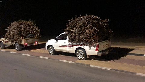 ضبط 48 مواطنًا بالرياض لبيعهم حطبًا محليًّا لأغراض تجارية