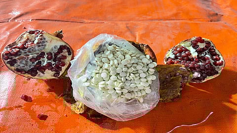 بالصور.. إحباط تهريب 2.5 مليون قرص مخدر داخل شحنة رمان