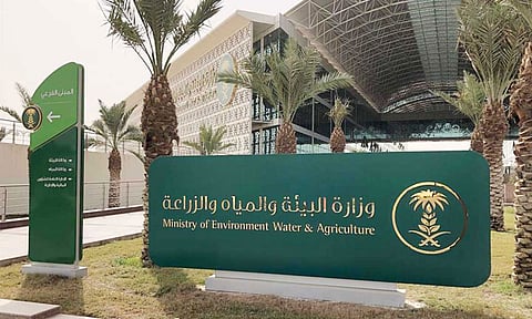 «صندق التنمية الزراعية» يعدِّد إنجازاته ضمن رؤية المملكة 2030