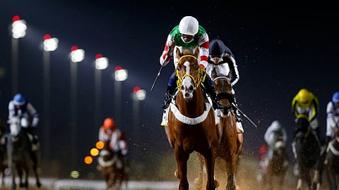 السعودية والإمارات والبحرين.. تحرك خليجي لتطوير سباقات الخيل