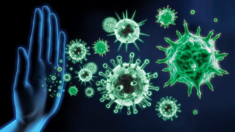 9 أطعمة تقوي المناعة في زمن كورونا