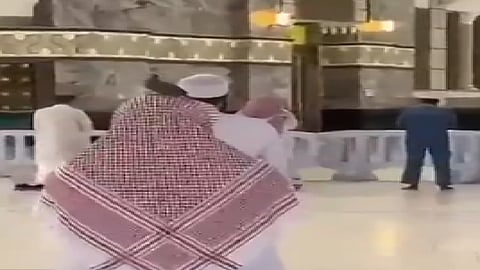 حمامة تجد السكينة على رأس أحد المصلين بالحرم.. ومقطع يوثق المشهد
