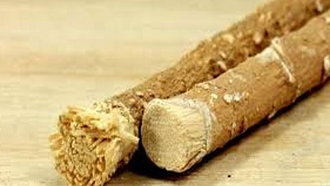 السواك.. 4 إرشادات من «الغذاء والدواء» تضمن الاستخدام الآمن