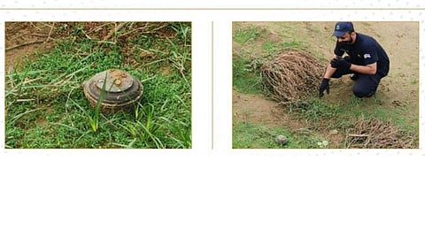 «مدني جازان»: إبطال لغم أرضي عثر عليه في أحد الأودية