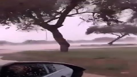 بشائر الخير.. أمطار غزيرة وجريان للسيول على عسير