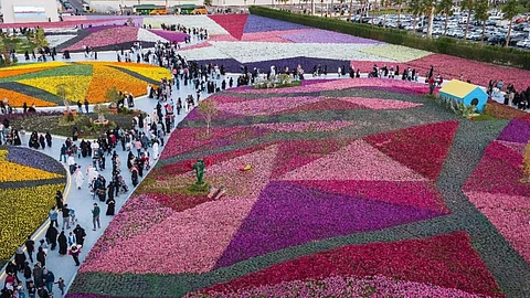 الورد يتصدر طلب نساء جازان الأسبوعين الماضيين.. وتجار: 100% زيادة في سعره