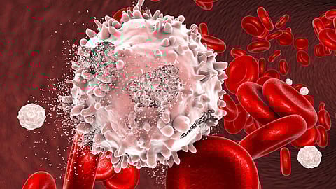 إنجاز سعودي.. باحث يتوصل لعلاج يقضي على «سرطان الدم»