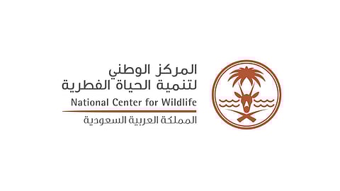 «مركز الحياة الفطرية» يطالب مقتني الحيوانات المفترسة بتسليمها