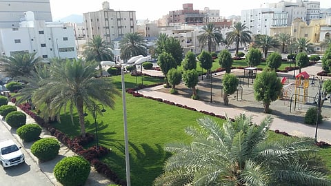 بالصور.. «أمانة العاصمة المقدسة» تبرم عقدًا بـ6 ملايين ريال لصيانة الحدائق والساحات بمكة