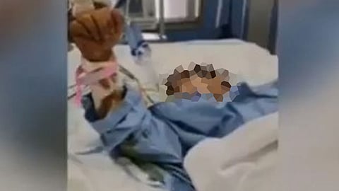 والد الطفل ضحية «الكلاب الضالة» يروي تفاصيل الواقعة المروعة