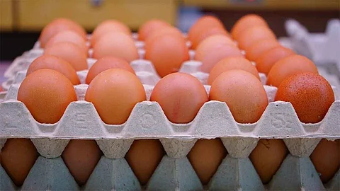 «الغذاء والدواء»: 6 نصائح لطبخ وتناول البيض بشكل آمن