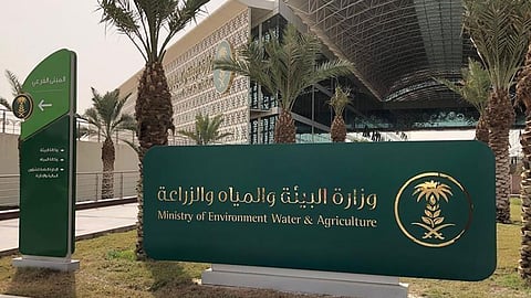 بتبني إطار مستدام.. «البيئة» تستهدف رفع الوعي لاستعادة النظام الإيكولوجي