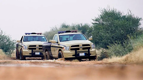 «الأمن البيئي» يوقف 21 شخصًا لارتكابهم مخالفات رعي بعدة مناطق