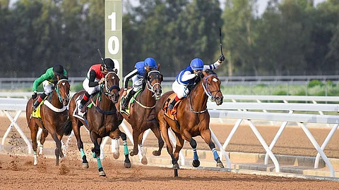 «مصيف الطائف» يرفع الستار عن حفل «سباق الخيل» الثالث والرابع