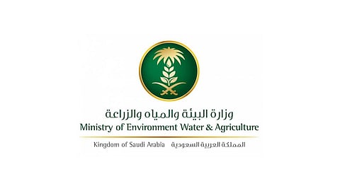 «البيئة»: نواصل عمليات مكافحة الجراد في 3 مناطق بالسعودية