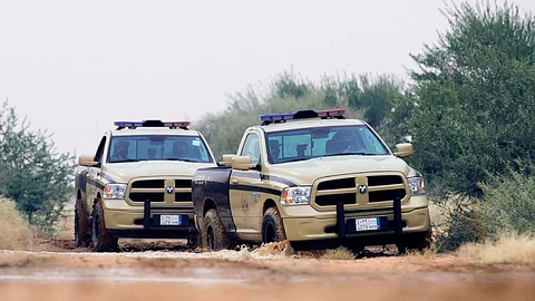 «الأمن البيئي» يوقف 36 شخصًا لارتكابهم مخالفات رعي بمناطق عدة
