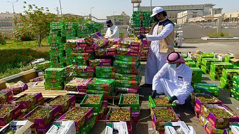 ضبط 7 أطنان فاكهة فاسدة قبل توزيعها بسوق الدمام المركزي