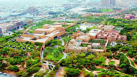السعودية تزرع 10 ملايين شجرة بـ1200 موقع في 6 أشهر