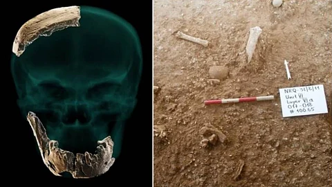 اكتشاف عظام إنسان مجهول من عصور ما قبل التاريخ بـ«الرملة»