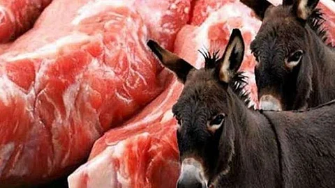 لحم الحمير المهرب من تركيا يثير الجدل بلبنان.. وذعر بين المواطنين