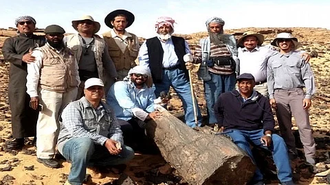 الجيولوجي ابن لعيون: السعودية بها أكبر أحفورة فطر في العالم