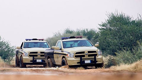 ضبط 26 مواطنًا عرضوا حطبًا محلًيا للبيع بالرياض