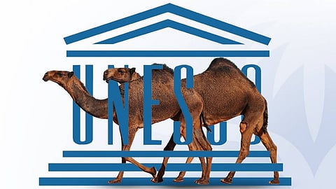 بن حثلين يكشف الدافع الأساسي لتأسيس المنظمة الدولية للإبل