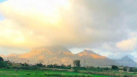 ميسان تستضيف وفدًا من كبار رجال الأعمال «اليوم»