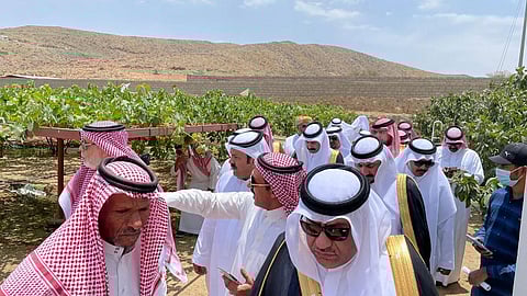 بالصور.. رجال أعمال يبحثون الفرص الاستثمارية بمحافظة ميسان