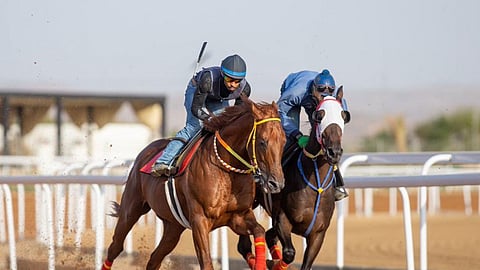 «سباق الخيل» يسدل الستار عن المرحلة الأولى من «مصيف الطائف»