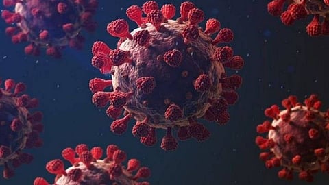 الصين تدعو للتحقيق في احتمالية نشأة «كورونا» بمختبر أمريكي