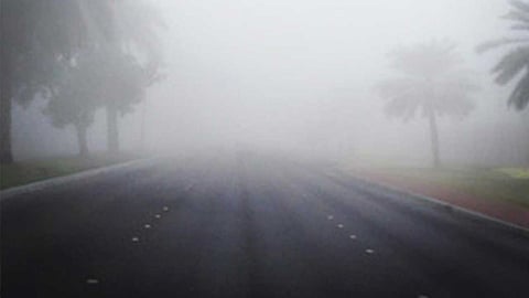 عسير تلتحف الضباب وتسجل انخفاضًا بين 11 و25 درجة مئوية