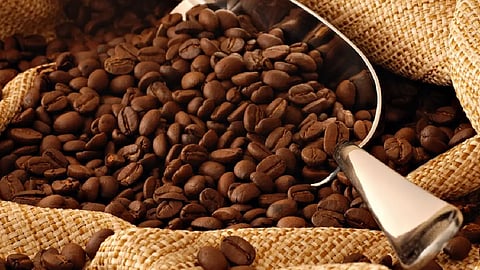 أسعار البن العربي تقفز لأعلى مستوى لها منذ 7 سنوات