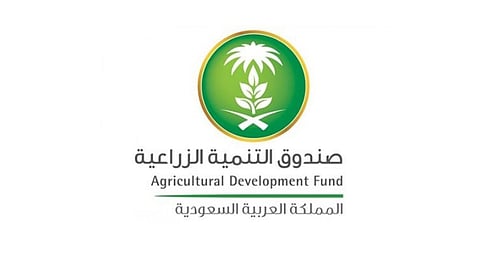 6 شروط للحصول على قرض مربي النحل المتنقل