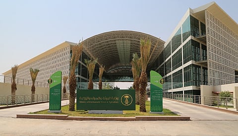 البيئة تعلن عن فرص تأهيل مستثمرين للاستثمار في مرافئ الصيد