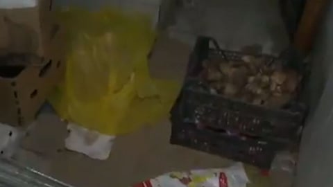 بالفيديو.. عمالة مخالفة تحول دورات المياه لمخازن خضراوات وفواكه في الرياض