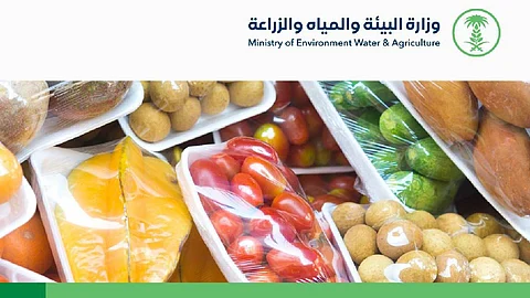 رسميًّا.. بدء تطبيق شروط وضوابط استيراد الخضراوات والفواكه الطازجة