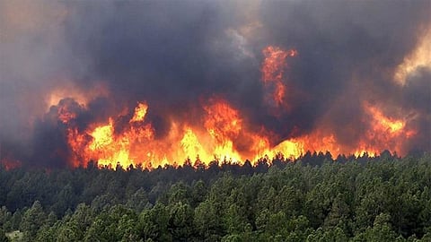 الحرائق تؤدي بحياة 25 عنصرًا من الجيش الجزائري.. وتبون يقدم تعازيه