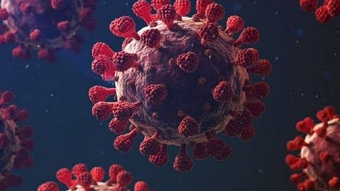 كورونا في مصر.. تسجيل 97 إصابة جديدة و5 حالات وفاة الجمعة