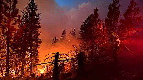 خبراء البيئة: حرائق الغابات في روسيا يمكن أن تصل إلى معدلات قياسية