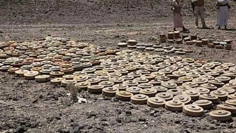 «مسام» ينتزع 1882 لغمًا في اليمن خلال أسبوع