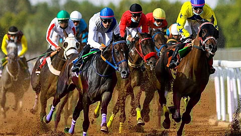 الحياة تعود إلى «سباقات الخيل» في موسم «مصيف الطائف»