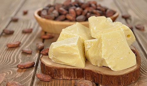 زبدة الكاكاو .. منجم فوائد للبشرة والشعر