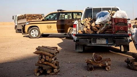 ضبط 48 مواطنًا لبيعهم حطبًا محليًا لأغراض تجارية